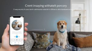 Review - blurams Cameras for Home Security 5GHz, 2K Indoor Camera blurams cameras for home security (1)